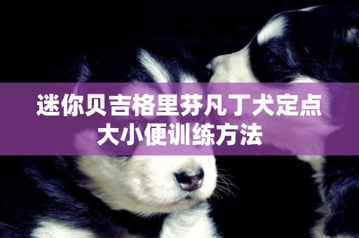 迷你贝吉格里芬凡丁犬定点大小便训练方法