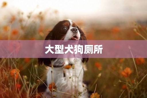 大型犬狗厕所