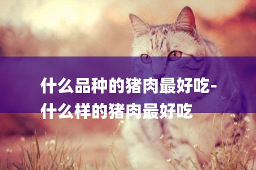 什么品种的猪肉最好吃-
什么样的猪肉最好吃