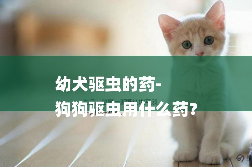 幼犬驱虫的药-
狗狗驱虫用什么药？