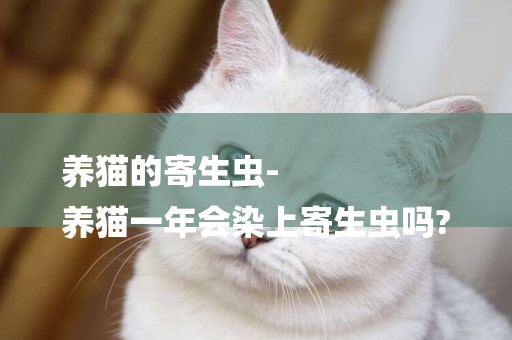 养猫的寄生虫-
养猫一年会染上寄生虫吗?