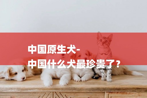 中国原生犬-
中国什么犬最珍贵了？