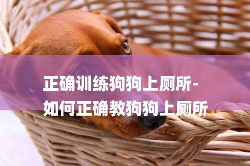 正确训练狗狗上厕所-
如何正确教狗狗上厕所