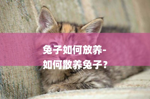 兔子如何放养-
如何散养兔子？