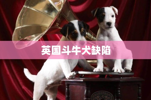 英国斗牛犬缺陷