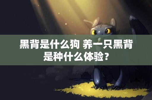 黑背是什么狗 养一只黑背是种什么体验？