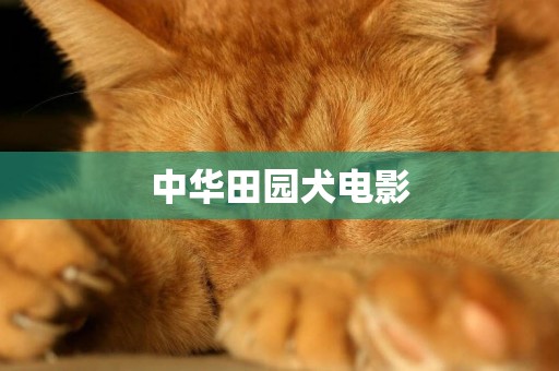 中华田园犬电影