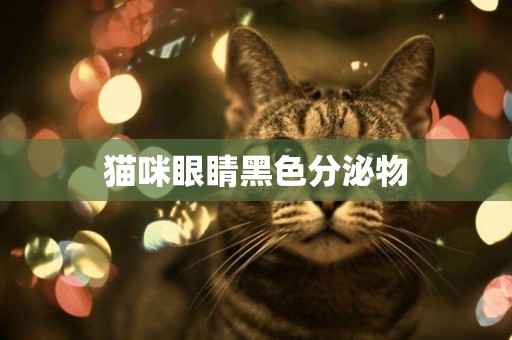 猫咪眼睛黑色分泌物