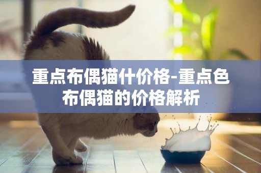 重点布偶猫什价格-重点色布偶猫的价格解析