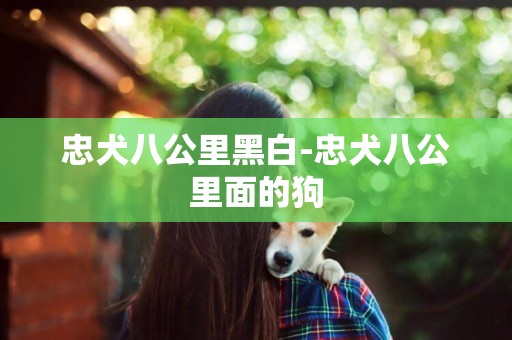 忠犬八公里黑白-忠犬八公里面的狗