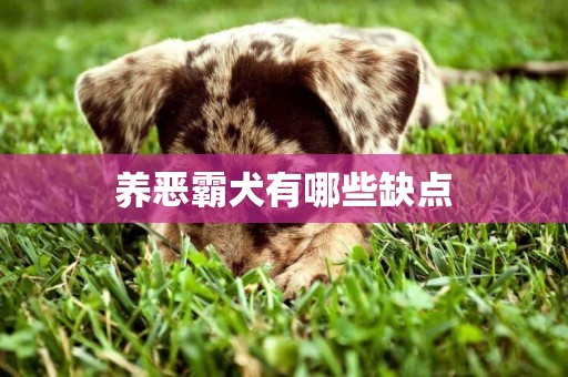 养恶霸犬有哪些缺点