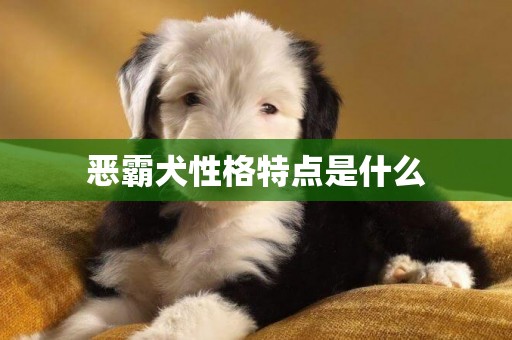 恶霸犬性格特点是什么