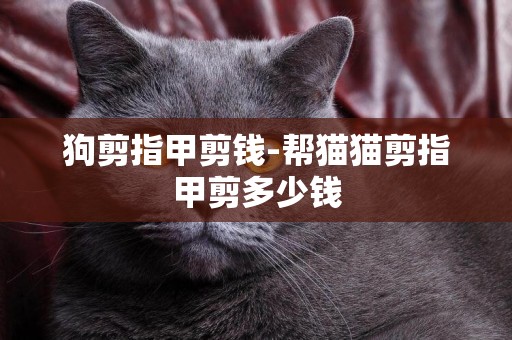 狗剪指甲剪钱-帮猫猫剪指甲剪多少钱