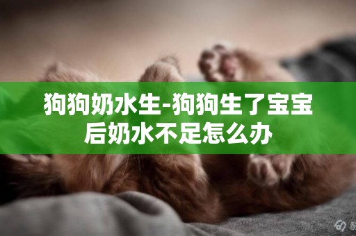 狗狗奶水生-狗狗生了宝宝后奶水不足怎么办