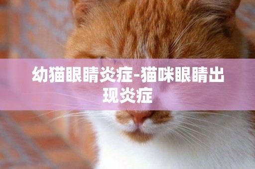 幼猫眼睛炎症-猫咪眼睛出现炎症