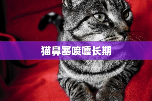 猫鼻塞喷嚏长期