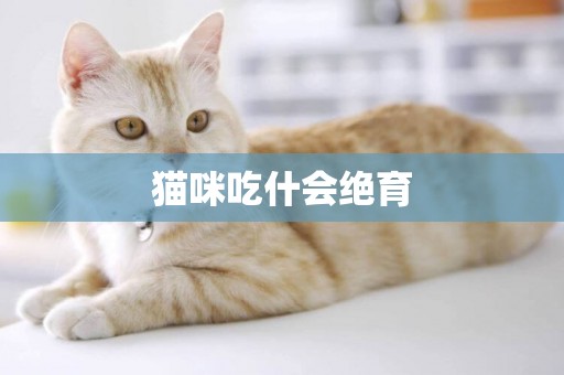 猫咪吃什会绝育