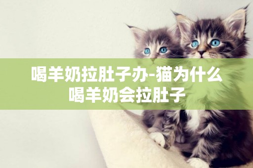 喝羊奶拉肚子办-猫为什么喝羊奶会拉肚子