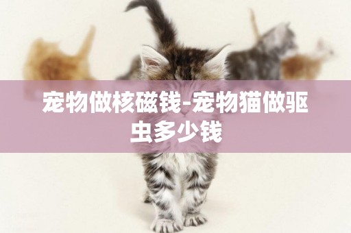 宠物做核磁钱-宠物猫做驱虫多少钱