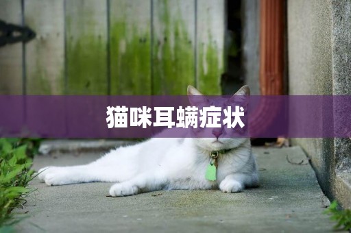 猫咪耳螨症状