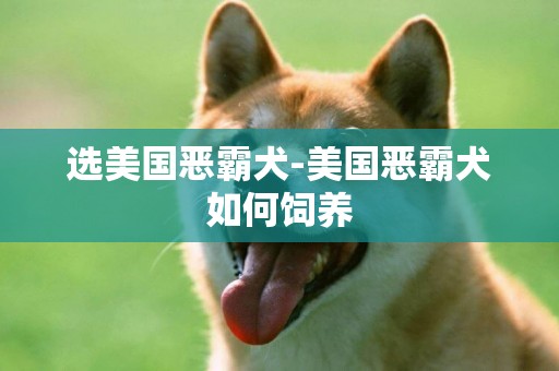 选美国恶霸犬-美国恶霸犬如何饲养