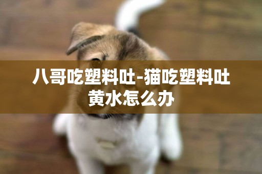 八哥吃塑料吐-猫吃塑料吐黄水怎么办