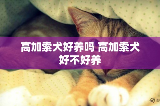 高加索犬好养吗 高加索犬好不好养