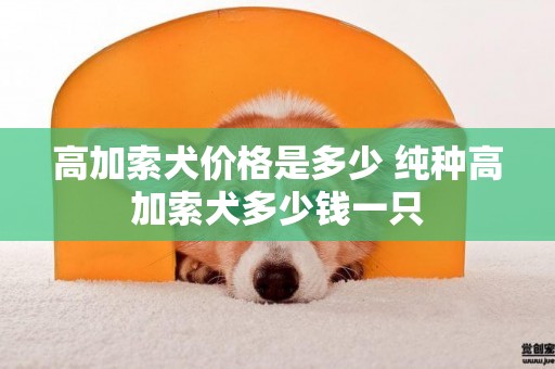 高加索犬价格是多少 纯种高加索犬多少钱一只