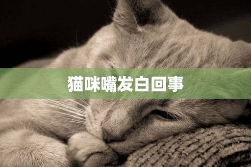 猫咪嘴发白回事