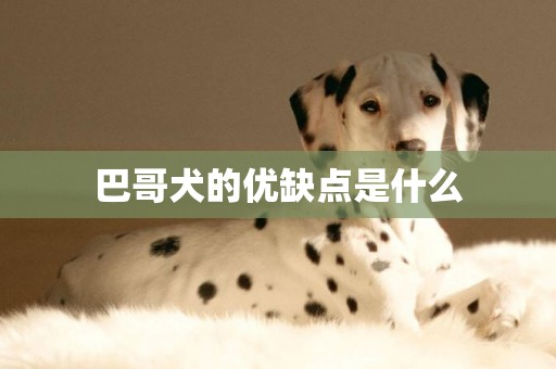 巴哥犬的优缺点是什么