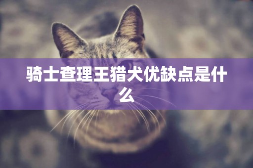 骑士查理王猎犬优缺点是什么