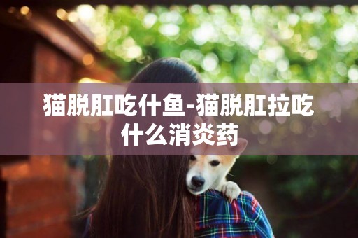 猫脱肛吃什鱼-猫脱肛拉吃什么消炎药