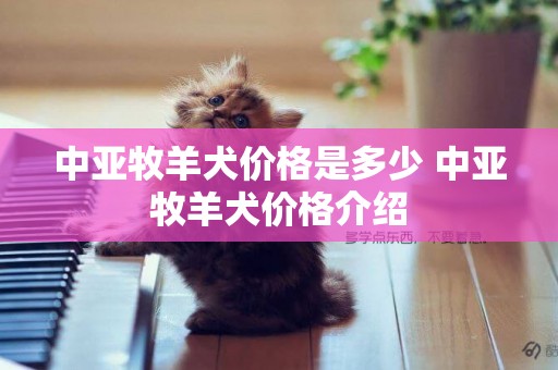 中亚牧羊犬价格是多少 中亚牧羊犬价格介绍