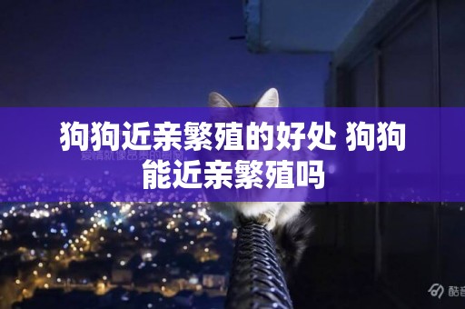 狗狗近亲繁殖的好处 狗狗能近亲繁殖吗