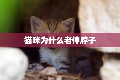 猫咪为什么老伸脖子