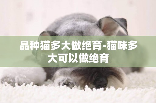 品种猫多大做绝育-猫咪多大可以做绝育