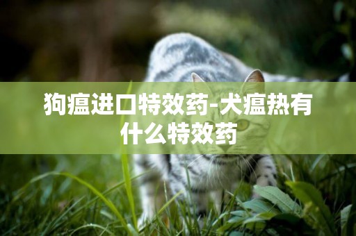 狗瘟进口特效药-犬瘟热有什么特效药