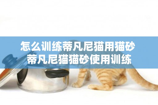 怎么训练蒂凡尼猫用猫砂 蒂凡尼猫猫砂使用训练