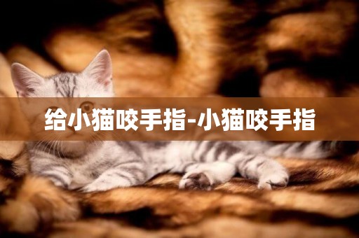 给小猫咬手指-小猫咬手指