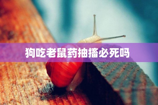 狗吃老鼠药抽搐必死吗