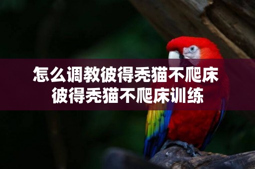 怎么调教彼得秃猫不爬床 彼得秃猫不爬床训练