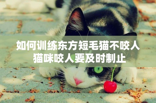 如何训练东方短毛猫不咬人 猫咪咬人要及时制止