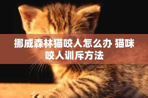 挪威森林猫咬人怎么办 猫咪咬人训斥方法