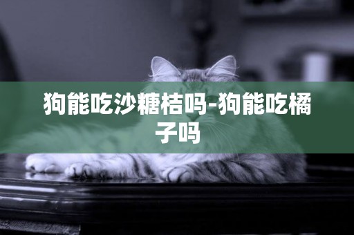 狗能吃沙糖桔吗-狗能吃橘子吗