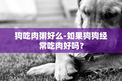 狗吃肉粥好么-如果狗狗经常吃肉好吗？