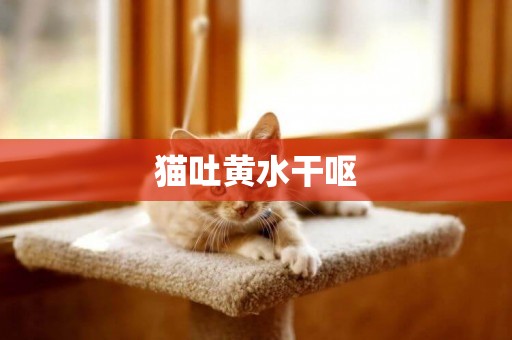 猫吐黄水干呕