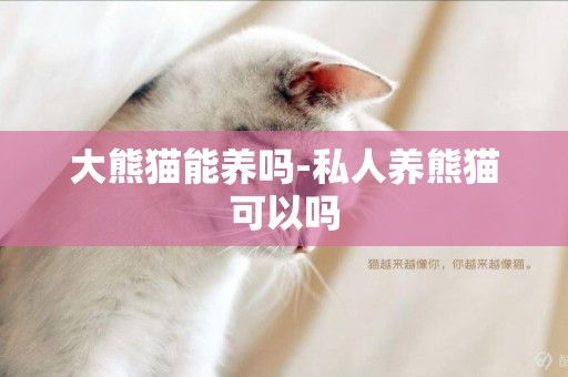 大熊猫能养吗-私人养熊猫可以吗