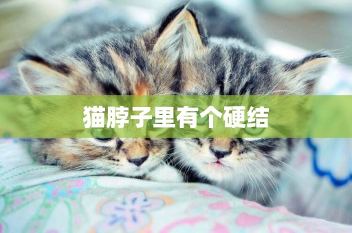 猫脖子里有个硬结