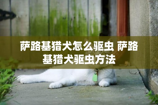 萨路基猎犬怎么驱虫 萨路基猎犬驱虫方法