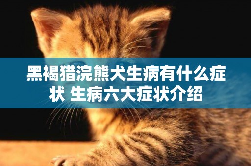 黑褐猎浣熊犬生病有什么症状 生病六大症状介绍